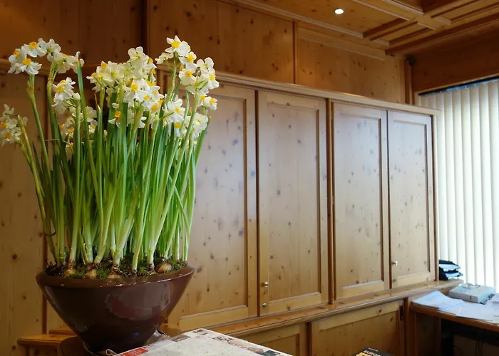 Kaiser Am Wiener Platz 호텔